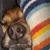 'Susan Houk's profile image