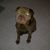 Robert Gable's profile image