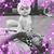 Debbie Beshears's profile image