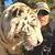 Randy Miller's profile image