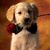 Melody Haddix Garwood's profile image