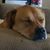 Shelley Zakutny Calhoun's profile image