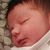 Susan Roberts Wayland's profile image