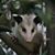 Pat Sparry's profile image