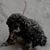 Bonny Didomenico's profile image