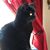 Lori Coulter Arwine's profile image