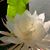 Belkis Gomez Aguilar's profile image