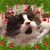 Ruth Freaner Johnson's profile image