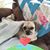 Debby Gorman's profile image