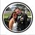 Rick Burton's profile image