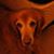Sheryl Scott's profile image