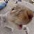 Matthew James's profile image