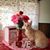 Debbie Darcey's profile image
