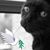 Diane Murphy's profile image