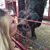 Allison Chandler's profile image