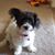Drea Nejeres's profile image