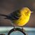 Joanna Leffler Guillot's profile image