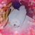 Tricia Tayon's profile image