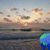 Marsha Miller's profile image