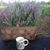 Carolyn Coffey's profile image