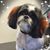 Cindy Pennington-Cohoon's profile image