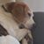 Sean D Anderson's profile image
