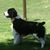 Janet Mabry's profile image
