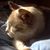 Bill Ray's profile image