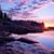 Victoria Busha's profile image