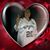 Patricia Ann Harlow's profile image
