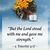 Grace Overstreet's profile image