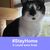Stacy Baylis- Sovelove's profile image