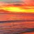 Amy Longnecker's profile image