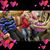 Kim Littleton's profile image