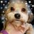 Robert Koster's profile image