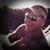 Sam Taylor's profile image
