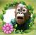 Brad Hess's profile image