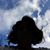 Stacy Syroka's profile image