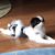 Fred McCall's profile image
