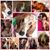 Katie Scott's profile image