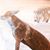 Kathrine H. Cook's profile image