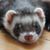 Matt Acree's profile image