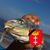 Marcin Kruszynski's profile image