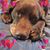 Kim Lavin-Mccrum's profile image