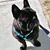 Jacquie Amos DeFusco's profile image
