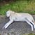 Brenda Sawyer's profile image