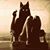 Liz Cravero's profile image
