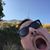 John Bailey's profile image