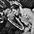 Dini Febriana's profile image