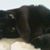 Edie Enders's profile image
